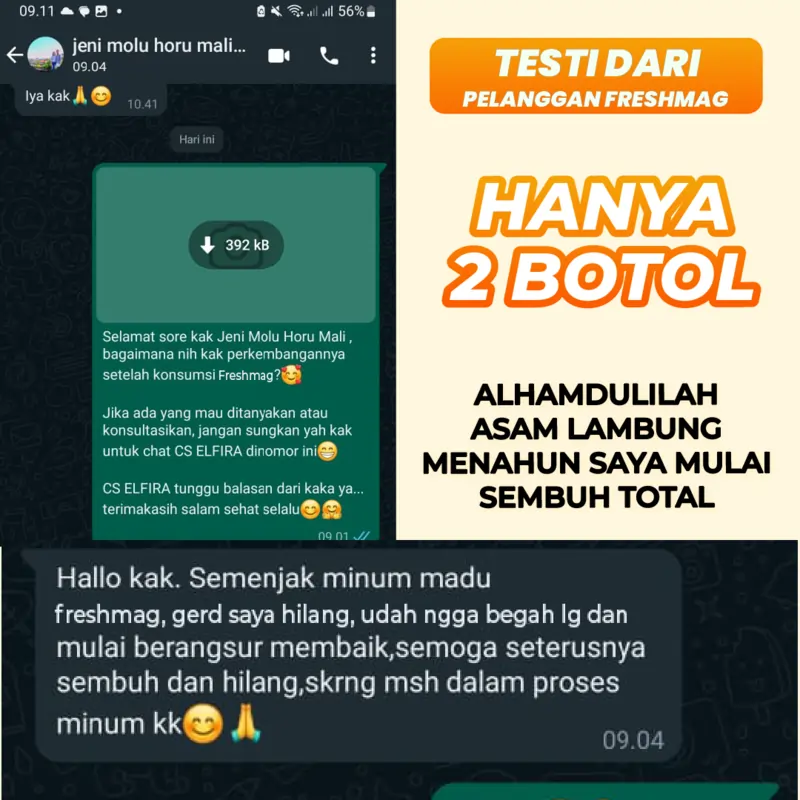 19_DG_APIT_LP_FRESHMAG_BUDIJANUARI-10.webp